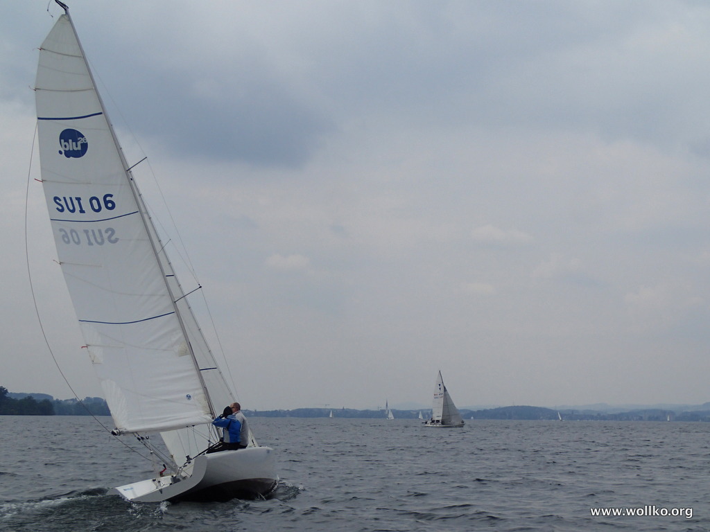 Goldsch&auml;kel 2015