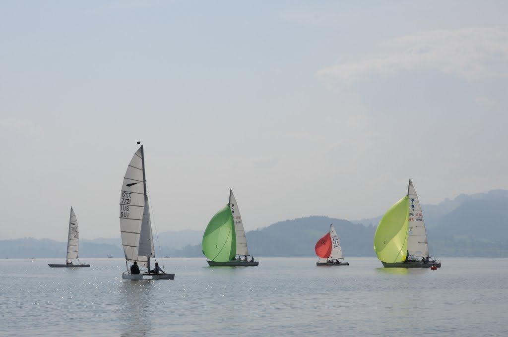 Tag 2 ZSM 2011