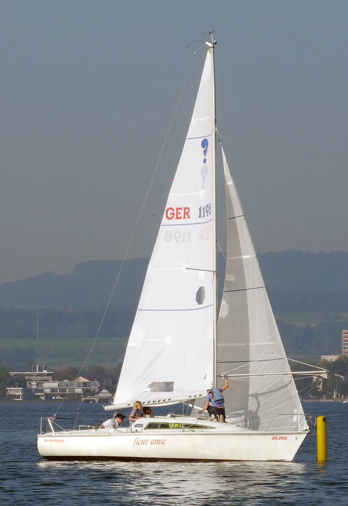 ZSM 2011